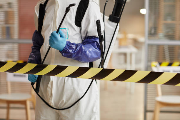 Professional Hoarding Cleanup technician working in Nordheim, TX